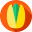 Pistachio icon 64x64