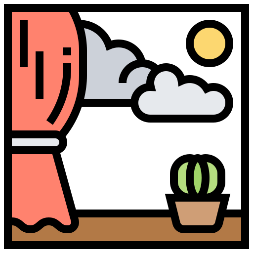 Window icon