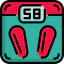 Weight icon 64x64