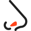 Nose icon 64x64