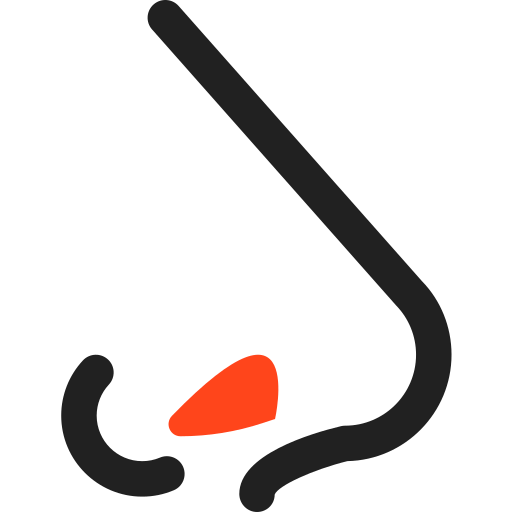 Nose icon