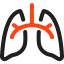 Lungs icon 64x64