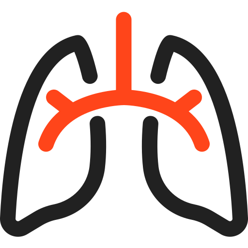 Lungs icon