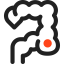 Colon icon 64x64