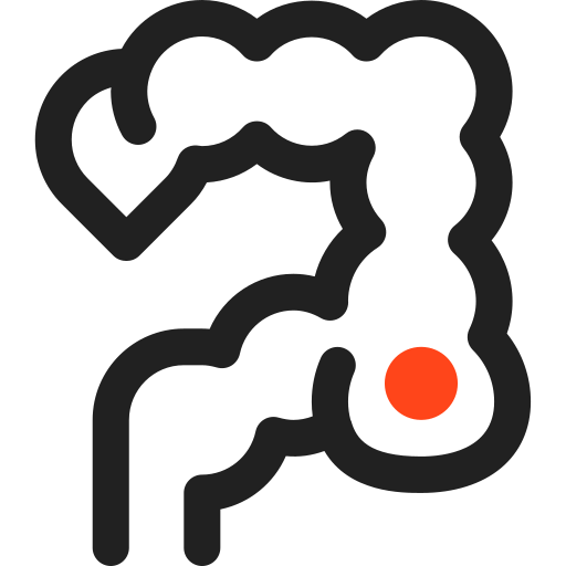 Colon icon
