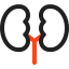 Kidneys Symbol 64x64
