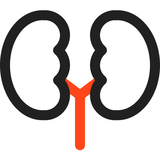 Kidneys icon