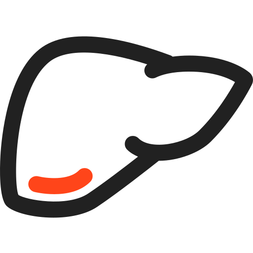 Liver icon