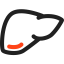 Liver icon 64x64