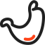Stomach icon 64x64