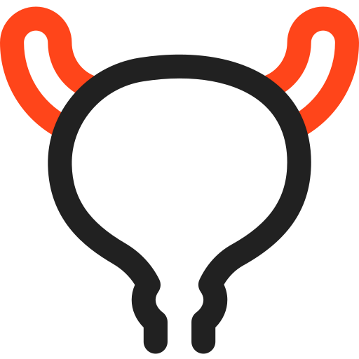 Bladder icon