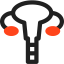 Uterus icon 64x64