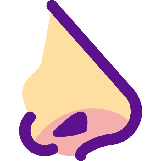 Nose icon