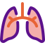 Lungs icon 64x64