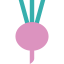 Turnip Ikona 64x64
