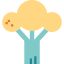 Broccoli biểu tượng 64x64