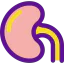 Kidney Symbol 64x64