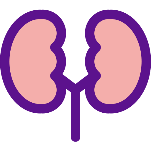 Kidneys icon