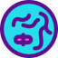 Chromosome icon 64x64