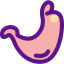 Stomach icon 64x64