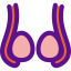 Ovaries icon 64x64