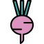 Turnip Ikona 64x64