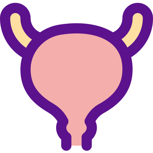 Bladder 图标