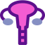 Uterus icon 64x64