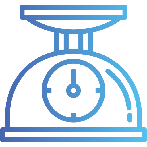 Scale icon