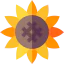 Flower icon 64x64