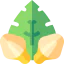 Flower icon 64x64