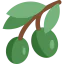Olives icon 64x64