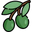 Olives icon 64x64