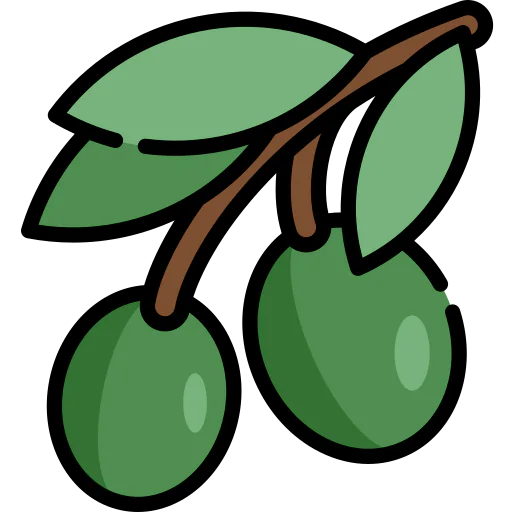 Olives icon
