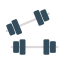 Dumbbells icon 64x64