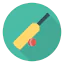 Cricket icon 64x64