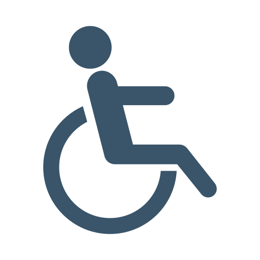 Disability icon