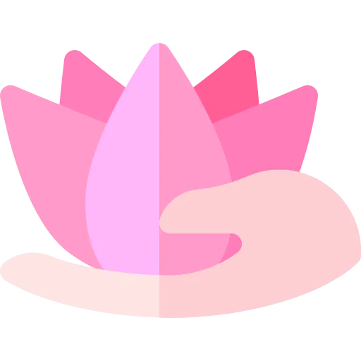 Spa icon