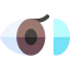 Eye lens icône 64x64