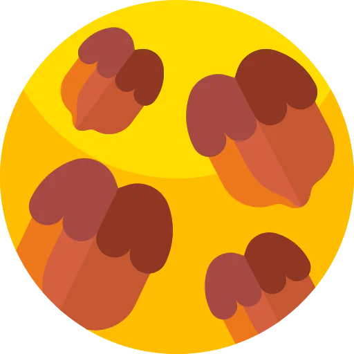 Walnut icon