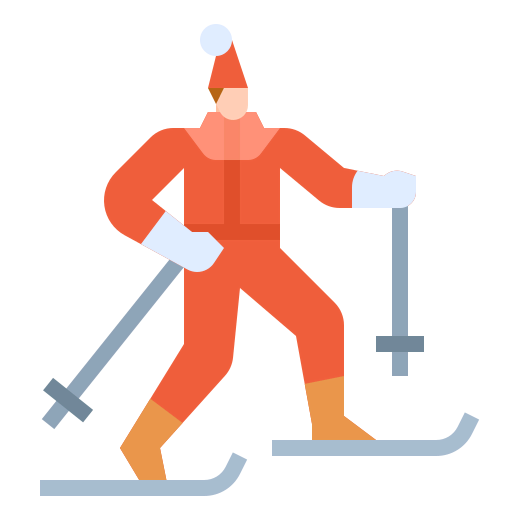 Ski icon