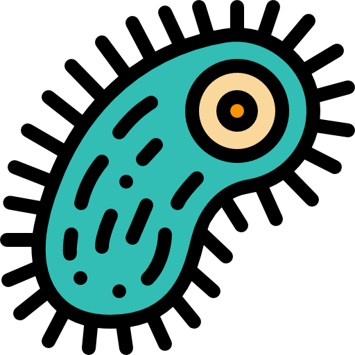 Bacteria icon