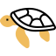 Turtle icon 64x64