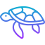 Turtle icon 64x64