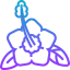 Mugunghwa icon 64x64