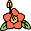 Mugunghwa icon 64x64