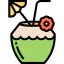 Coconut drink icon 64x64