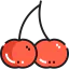 Cherry icon 64x64