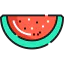 Watermelon icon 64x64