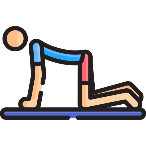 Pilates icon